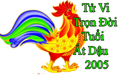 tu-vi-tron-doi-tuoi-at dau 2005